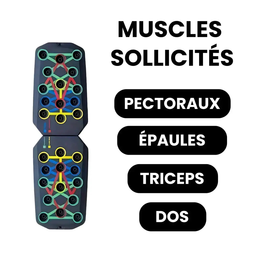 Planche Musculation avec Ciblage Musculaire par Couleur NovaPlace
