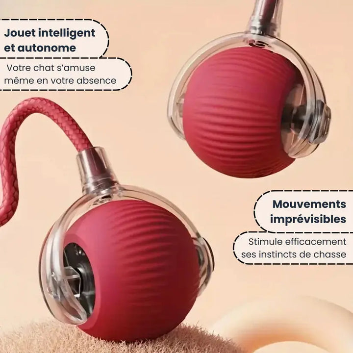Jouet interactif intelligent pour chats NovaPlace