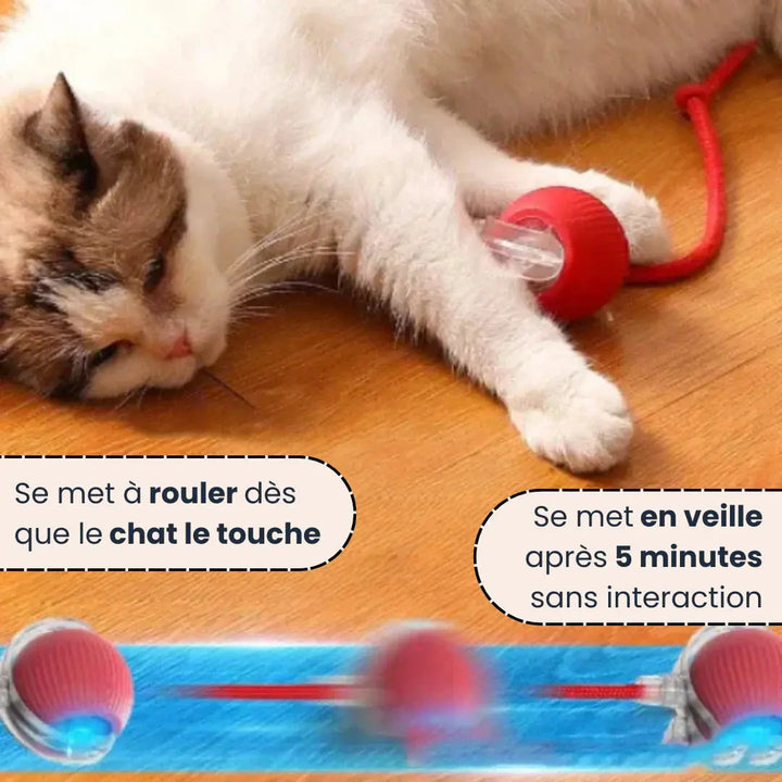 Jouet interactif intelligent pour chats NovaPlace