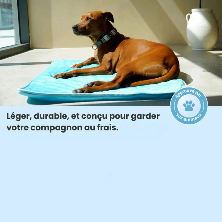 Tapis Rafraîchissant pour Animaux NovaPlace