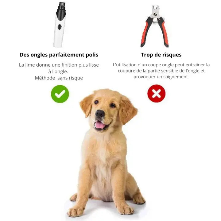 Lime à ongles électrique pour chiens NovaPlace